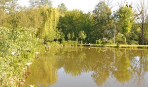 Частное хозяйство 