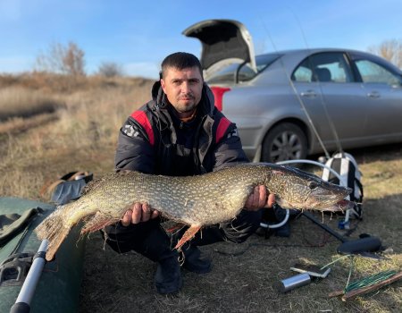 Рыбалка на ставке в с. Пески