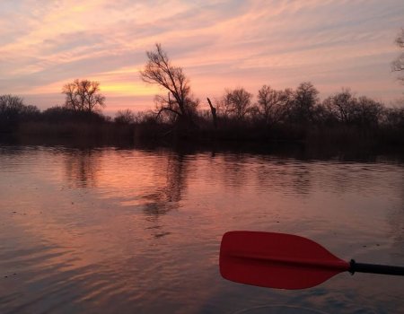 Рибалка на турбазі "Купава"