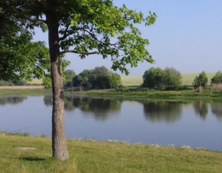 Водоем в селе Покутинцы Виньковецкого р-ну