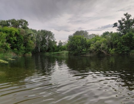 Водоём для рыбалки в с. Половинкино 
