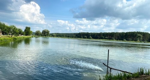 Рибалка у Фіш парк 