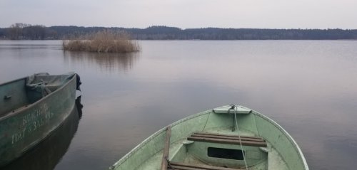 Рибалка у Фіш парк 