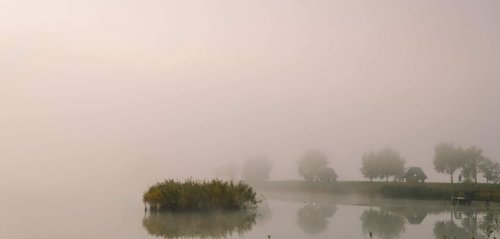 Рибалка у Фіш парк 