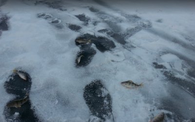 Каменское водохранилище 