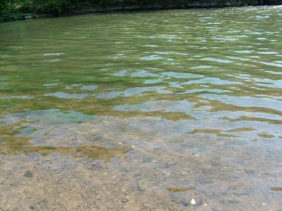 Каменское водохранилище 