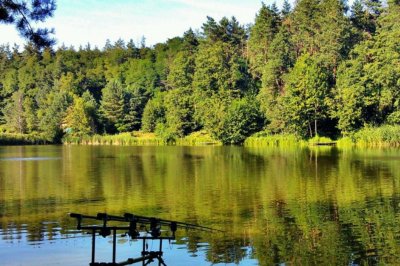 Рыбалка на озере Трофейное 