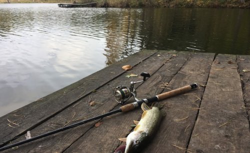 Рыбалка на озере Трофейное 