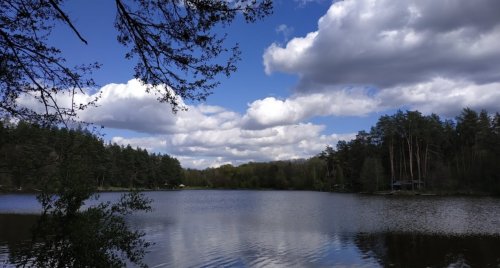 Рыбалка на озере Трофейное 