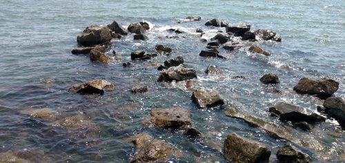 Морська рибалка у Новопетрівці