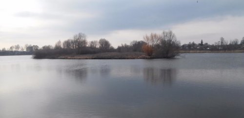 Озеро Карп Прайд в селе Большой Чернятын
