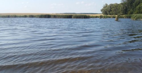 Озеро Карп Прайд в селе Большой Чернятын