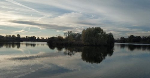 Озеро Карп Прайд в селе Большой Чернятын