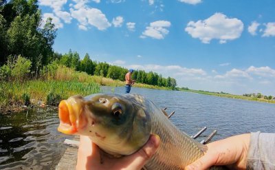 Озеро Козинцы 