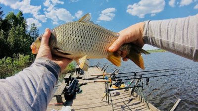 Озеро Козинцы 