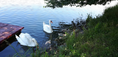 Рыбалка на Озере Ульяники 