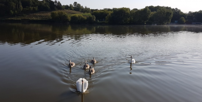 Рыбалка на Озере Ульяники 
