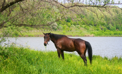 Рыбалка на Озере Ульяники 