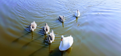 Рыбалка на Озере Ульяники 