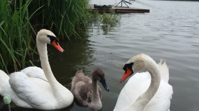 Рыбалка на Озере Ульяники 