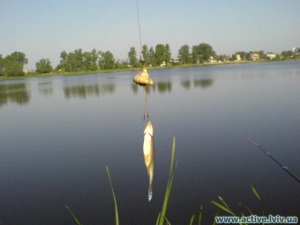 Озеро в г. Ходоров Львовской области-2