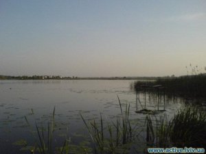 Озеро в г. Ходоров Львовской области-1