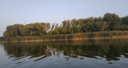 Платная рыбалка на пруду в с. Бережцы 