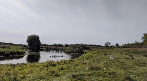 Платная рыбалка на пруду в с. Бережцы 