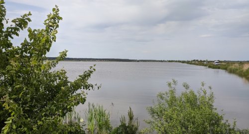 Платная рыбалка на пруду в с. Бережцы 