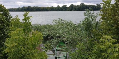 Платная рыбалка на пруду в с. Бережцы 