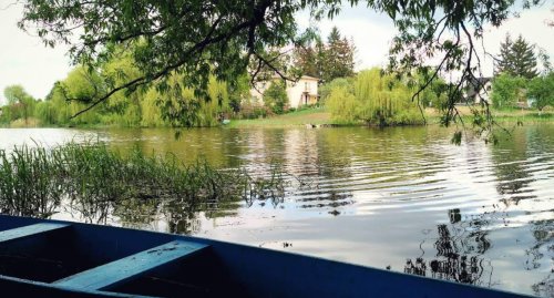 Платная рыбалка на пруду в с. Бережцы 