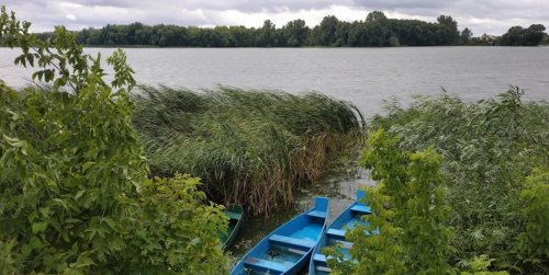 Платная рыбалка на пруду в с. Бережцы 