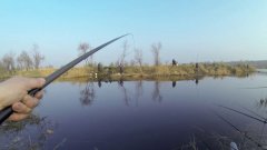 Платная рыбалка на пруду в с. Довгое Львовской области-1