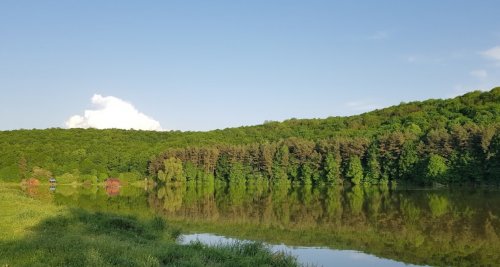 Платна рибалка на Лемківській ставці Тернопільської області