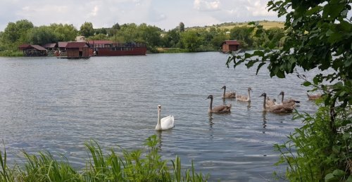 Платна рибалка на Лемківській ставці Тернопільської області