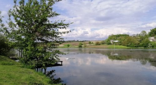 Платна рибалка на Лемківській ставці Тернопільської області