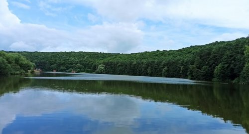 Платна рибалка на Лемківській ставці Тернопільської області