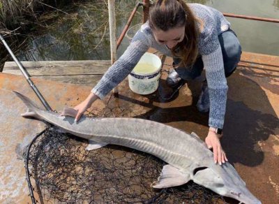 Озеро Фартовая рыбалка