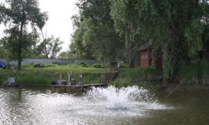 Озеро Фартовая рыбалка