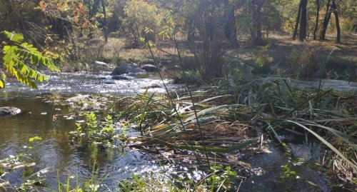 Река Южный Буг ниже Александровской ГЭС 
