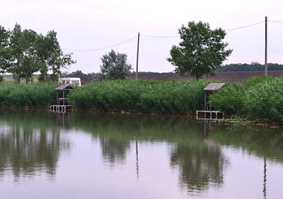 Риболовля та відпочинок на турбазі «Хуторок» 
