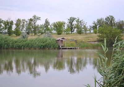 Риболовля та відпочинок на турбазі «Хуторок» 