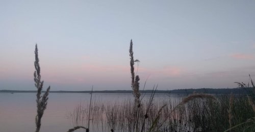 Рыбалка на Белом озере в с. Рудка Ровенской области