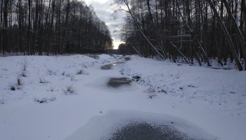 Рыбалка на Белом озере в с. Рудка Ровенской области