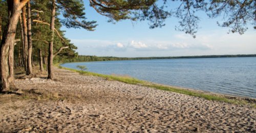 Рыбалка на Белом озере в с. Рудка Ровенской области
