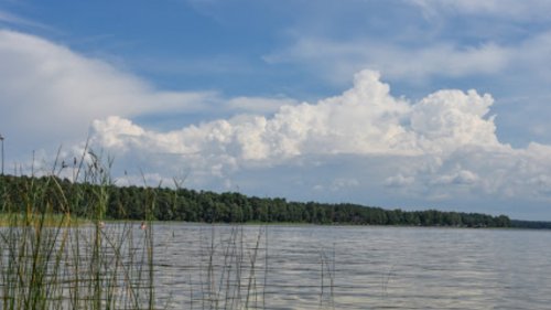 Рыбалка на Белом озере в с. Рудка Ровенской области