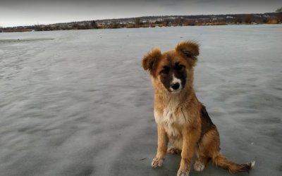 Рыбалка на Луганском водохранилище
