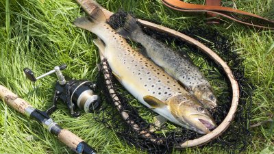 Рыбалка на Луганском водохранилище