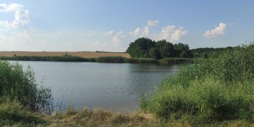 Рыбалка на Маяке в с. Гуровка Кировоградской области