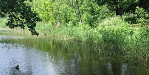 Рыбалка на Маяке в с. Гуровка Кировоградской области